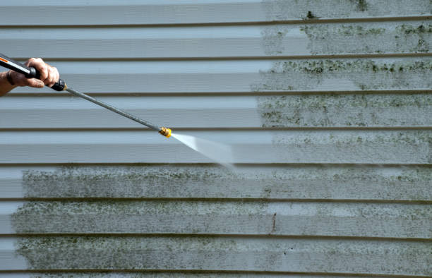 Best Roof Pressure Washing  in Central High, OK